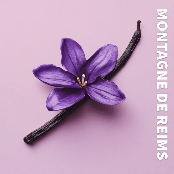 Bougie MARSAULT – Montagne de Reims – Image 2